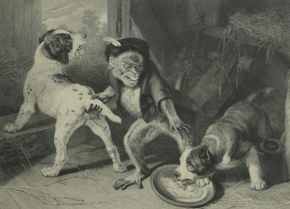 Intruding Puppies Sir Edwin Landseer