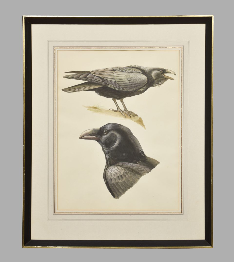 Paul-Louis Barruel Watercolour on paper