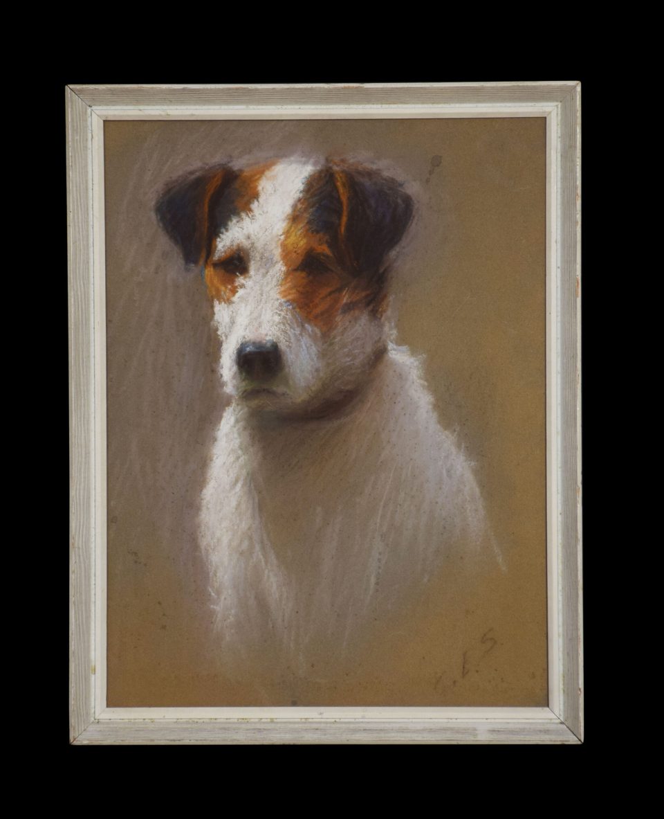 Portrait of a Jack Russel signed C.E.Stewart