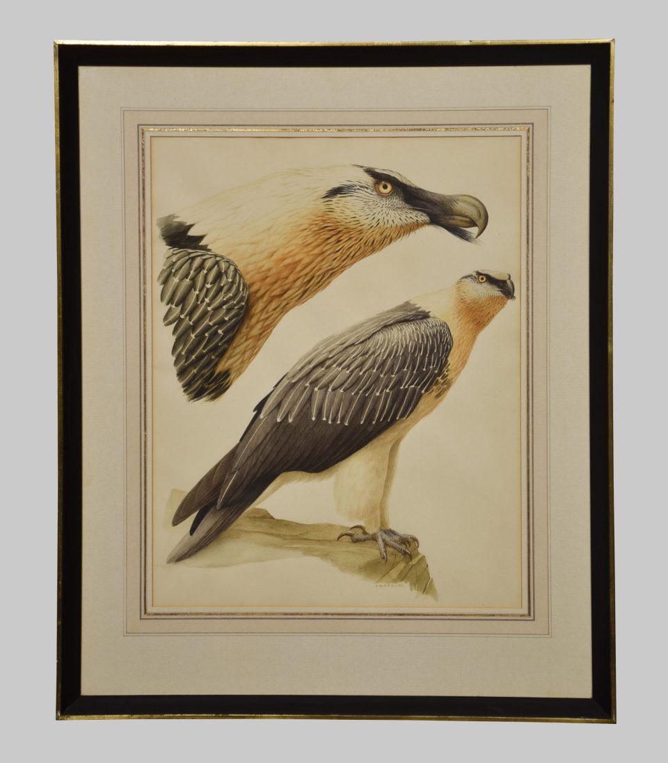 Paul-Louis Barruel Watercolour on paper