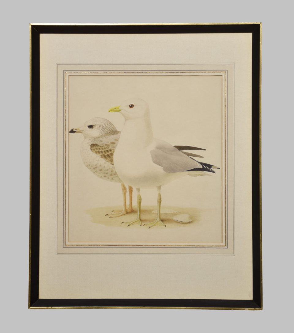 Paul-Louis Barruel Watercolour on paper