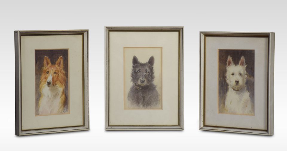 Set of three dog portrait watercolours signed C.E.Stewart